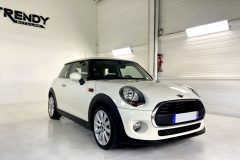 mini-blanche